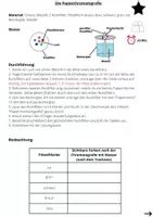 Vorschau - Fördermaterial/Inklusion - Papierchromatografie mit Lösung und Fördermaterial - Seite 2