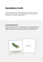 Aperçu - Fiches - VOCABULARY CARDS: Pack XXL de ressources pour les cours d’anglais - Page 2