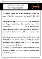 Vorschau - Arbeitsblätter - Mein Körper - Nerven, Muskeln, Blutkreislauf - Seite 2