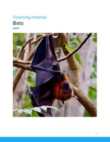 Vorschau - Unterrichtsreihen - Bats Biology Unit – Complete Teaching Resource for Grades 5–7 - Deckblatt