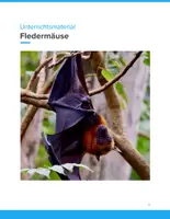 Vorschau - Unterrichtsreihen - Fledermäuse erkunden – Biologie-Unterrichtseinheit für SEK I - Deckblatt