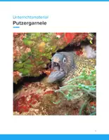 Vorschau - Unterrichtsreihen - Putzergarnele & Umweltfaktoren – Biologie-Unterricht für SEK I - Deckblatt