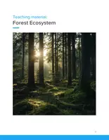 Vorschau - Unterrichtsreihen - Forest Ecosystem – Complete Biology Unit for Grades 5–7 - Deckblatt