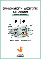 Vorschau - Arbeitsblätter - Protokoll Waschmittelvergleich - Temperatur beim Waschen - Experimente, Arbeitsblätter, Zusatzaufgaben - Seite 1