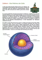 Vorschau - Stationenlernen - Materialpaket Zellbiologie - Biomino - Seite 3