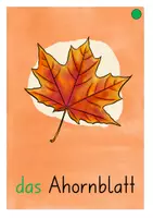 Vorschau - Unterrichtsreihen - Bild-Wortkarten Herbst für den DaZ Unterricht - Seite 1