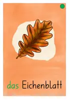 Vorschau - Unterrichtsreihen - Bild-Wortkarten Herbst für den DaZ Unterricht - Seite 2