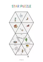 Aperçu - Jeux - Spring / Printemps: Star Puzzle (Jeu pour le cours d'anglais) - Page 2