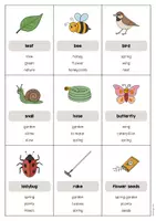 Aperçu - Jeux - Spring / Printemps: Don’t say it! (Jeu pour le cours d'anglais) - Page 3