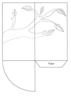 Vorschau - Mal- und Bastelvorlagen - Schmetterling: Lebenszyklus Quadrama (3D-Bastelvorlage) - Sachunterricht - Kl. 3/4 - Seite 3