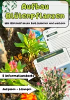 Vorschau - Arbeitsblätter - Blütenpflanzen Aufbau: Pflanzenteile, Funktionen, Photosynthese - Deckblatt
