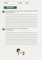 Vorschau - Arbeitsblätter - Blütenpflanzen Aufbau: Pflanzenteile, Funktionen, Photosynthese - Seite 3