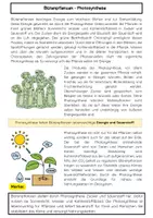 Vorschau - Arbeitsblätter - Blütenpflanzen - Photosynthese - Seite 1