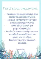Προεπισκόπηση - Πλάνο μαθήματος / Υλικό για τον εκπαιδευτικό - Θεματική ενότητα: Τα ζώα της θάλασσας - Σελίδα 2