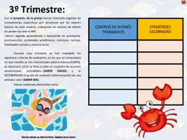 Vista previa - Refuerzo / NEE / Materiales de apoyo - INFORME burbutea - página 2