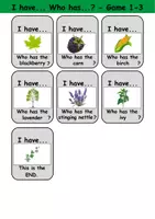 Vorschau - Mal- und Bastelvorlagen - I have... Who has...? (Plants) Ich habe, wer hat? Englisch - Seite 3