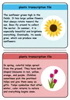 Vorschau - Unterrichtsreihen - Copy card index / Abschreibkarten: Plants - Englisch - Seite 3