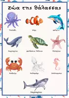 Προεπισκόπηση - Flashcards - Τα ζώα της θάλασσας - Teacher's Little Tales - Εξώφυλλο