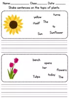 Vorschau - Unterrichtsreihen - Schüttelsätze / Jumbled Sentences: Plants - Englisch - Seite 3