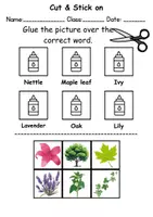 Vorschau - Unterrichtsreihen - Match words & stick on: Plants - Englisch (Schneiden und Kleben) - Seite 1