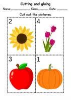 Vorschau - Unterrichtsreihen - Match words & stick on: Plants - Englisch (Schneiden und Kleben) - Seite 3