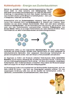 Vorschau - Stationenlernen - Bestandteile der Nahrung Stationenlernen - Biomino - Seite 2