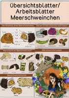 Vorschau - Arbeitsblätter - Übersichtsblätter/ Arbeitsblätter -Meerschweinchen - Deckblatt