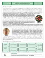 Vorschau - Arbeitsblätter - Neurobiologie - Komplexe Übung - Schmerzmittel - Seite 1