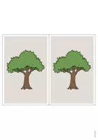 anteprima - Schede informative - Forest / Bosco: Station Signs (Schede di lavoro per le stazioni di apprendimento) - Pagina 2