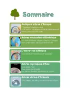 Aperçu - Texte - Arbres du monde - Page 2