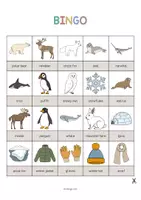 anteprima - Flashcard - Arctic & Antarctic / Artide e Antartide: Bingo (Gioco per la lezione d'inglese) - Pagina 2