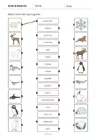 anteprima - Esercizi - Arctic & Antarctic / Artide e Antartide: Draw the lines 1 (Scheda di esercizi di inglese) - Pagina 2