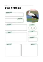 Vorschau - Arbeitsblätter - der Storch - Quiz, Körperteile, Steckbrief, Informationen - Seite 1