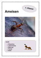 Vorschau - Arbeitsblätter - Ameisen - 1. Klasse - Deckblatt