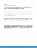 Vorschau - Unterrichtsreihen - Pets & Farm Animals – Animal Welfare and Responsibility | Workbook | Grades 5–9 - Seite 2
