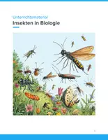 Vorschau - Unterrichtsreihen - Unterrichtsmaterial: Insekten im Biologieunterricht – Bau, Vielfalt & Bedeutung | Klasse 5–9 - Deckblatt