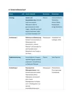 Vorschau - Stundenentwürfe - Materialeinsatz und ästhetische Bildung – Offenes Material und Kreativitätsförderung“, Lernfeld 4: „Bildungs- und Entwicklungsprozesse anregen und unterstützen“ - Seite 3