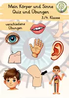 Vorschau - Arbeitsblätter - Körper & Organe – Materialpaket: Quiz, Übungen & Lernkarten (3./4. Klasse) - Seite 2
