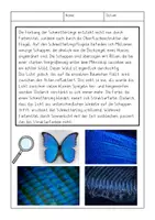 Vorschau - Arbeitsblätter - Warum schillern Schmetterlinge in bunten Farben? Forschen und Experimentieren im Sachunterricht, Seifenblasen Experiment - Seite 2