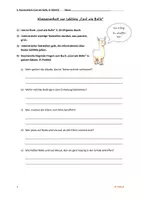 Vorschau - Klassenarbeiten - Klassenarbeit zur Lektüre "Cool wie Bolle" | Tagebucheintrag, Leseverstehen | differenziert | LÖSUNGEN: Korrekturbogen | Deutsch Klasse 5 - Seite 1