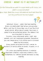 Vorschau - Unterrichtsreihen - SCIENCE WORKBOOK BUNDLE – Germination, Growth & Human Senses | Grades 3–6 - Seite 2