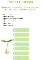 Vorschau - Arbeitsblätter - Grow a Bean! Plant Science Journal for Grades 3–6 - Seite 3