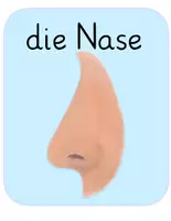 Vorschau - Poster - Tafelmaterial Nase - Seite 1