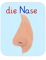 Vorschau - Poster - Tafelmaterial Nase - Seite 2