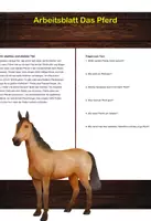 Vorschau - Arbeitsblätter - Arbeitsblatt - Das Pferd - Tiere lernen - 2. - 4. Klasse - Deckblatt