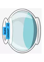 Προεπισκόπηση - Διαδραστικό υλικό - Past Simple Regular Verbs Activity - Σελίδα 2