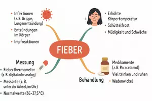 Vorschau - Arbeitsblätter - Arbeitsblatt zum Thema "Fieber" + Onlineübung & MP3 + Mindmap + Infografik - Seite 3
