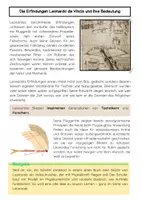 Vorschau - Arbeitsblätter - Leonardo da Vinci: die wichtigsten Erfindungen - Seite 2
