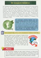 Vorschau - Arbeitsblätter - Ökologischer Fußabdruck Bundle: Nachhaltigkeit, CO₂-Ausstoß, Konsum & Ressourcen - Seite 2