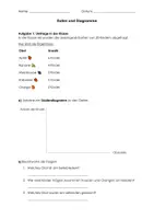 Vorschau - Arbeitsblätter - Arbeitsblatt zum Thema Daten und Diagramme - Deckblatt